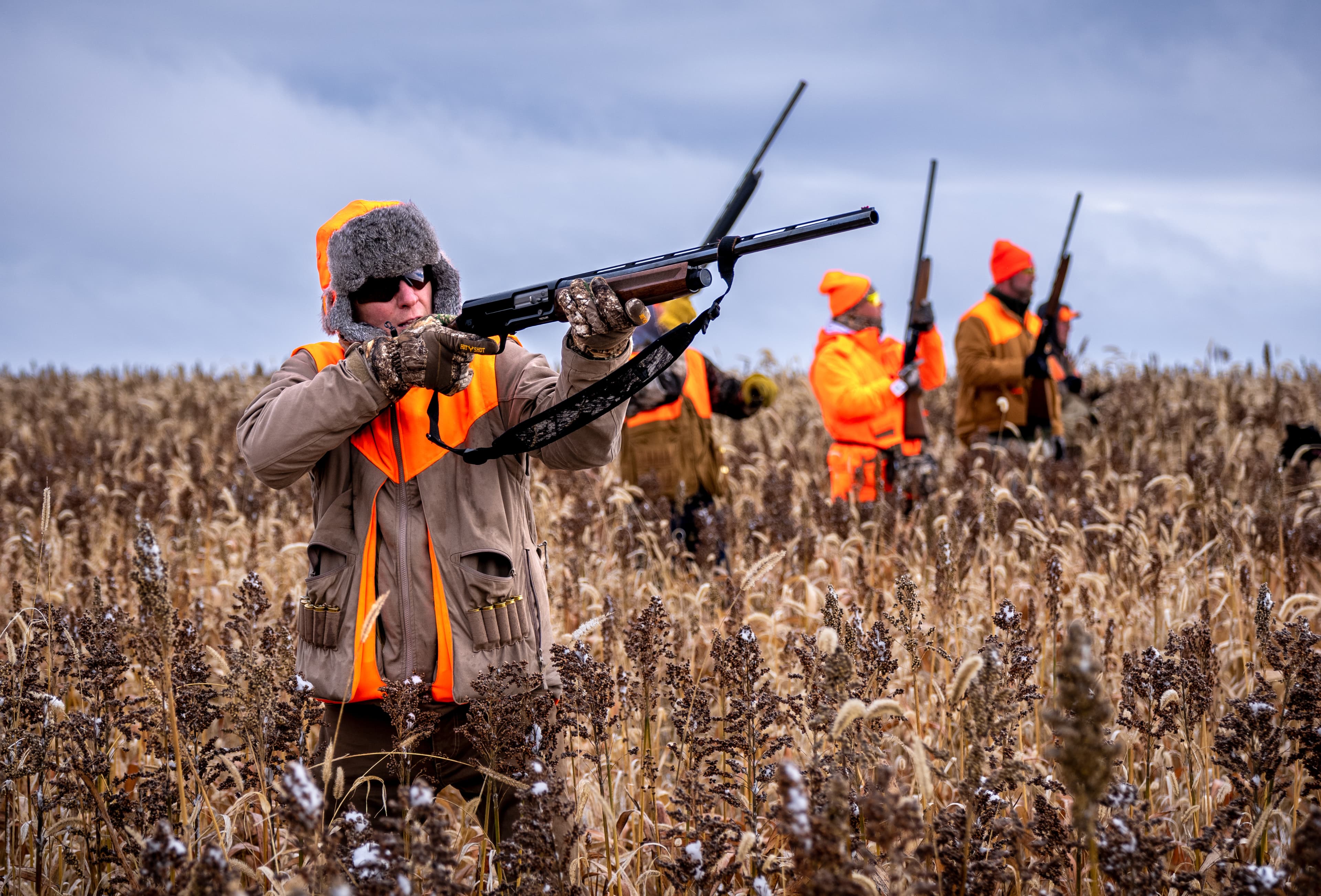 Hunter aiming in a South Dakota pheasant field