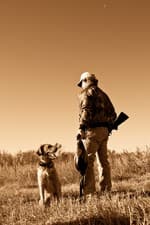 Gunner's Haven Pheasant Camp image 3