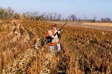 Gunner's Haven Pheasant Camp image 4