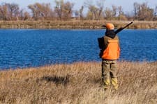 Gunner's Haven Pheasant Camp image 5