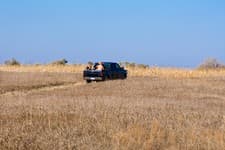 Gunner's Haven Pheasant Camp image 6