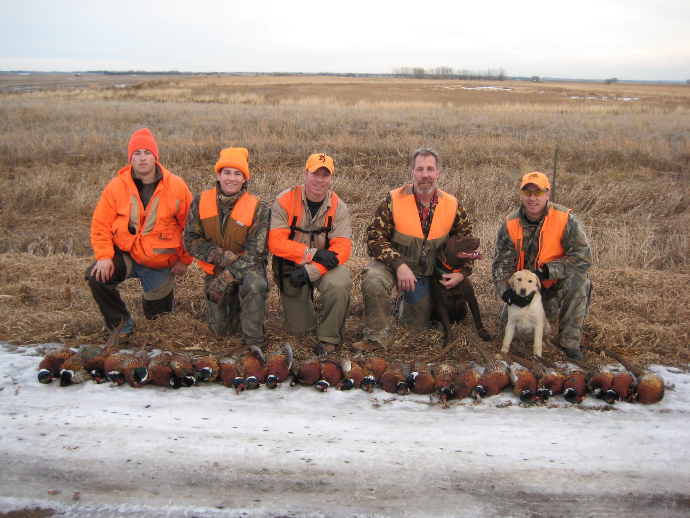 Pheasant Camp Lodge image 8