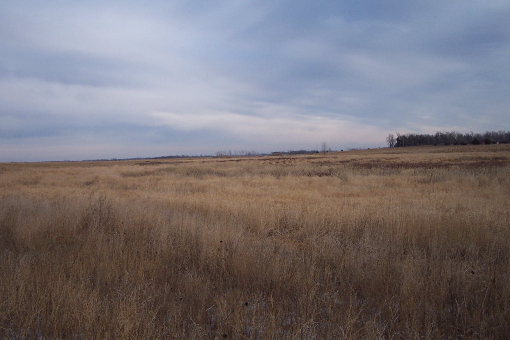 Pheasant Camp Lodge image 9