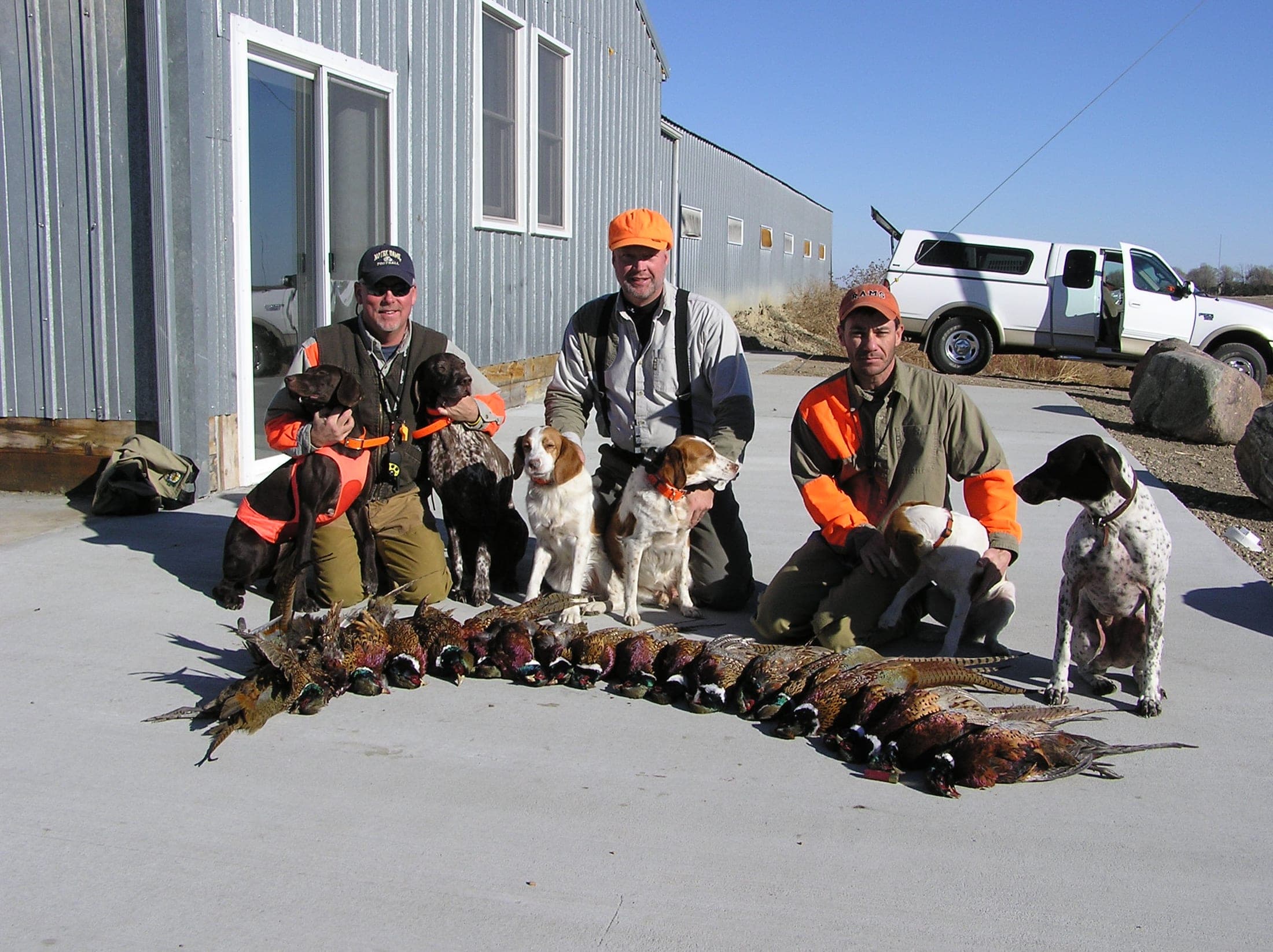 Pheasant Camp Lodge image 10