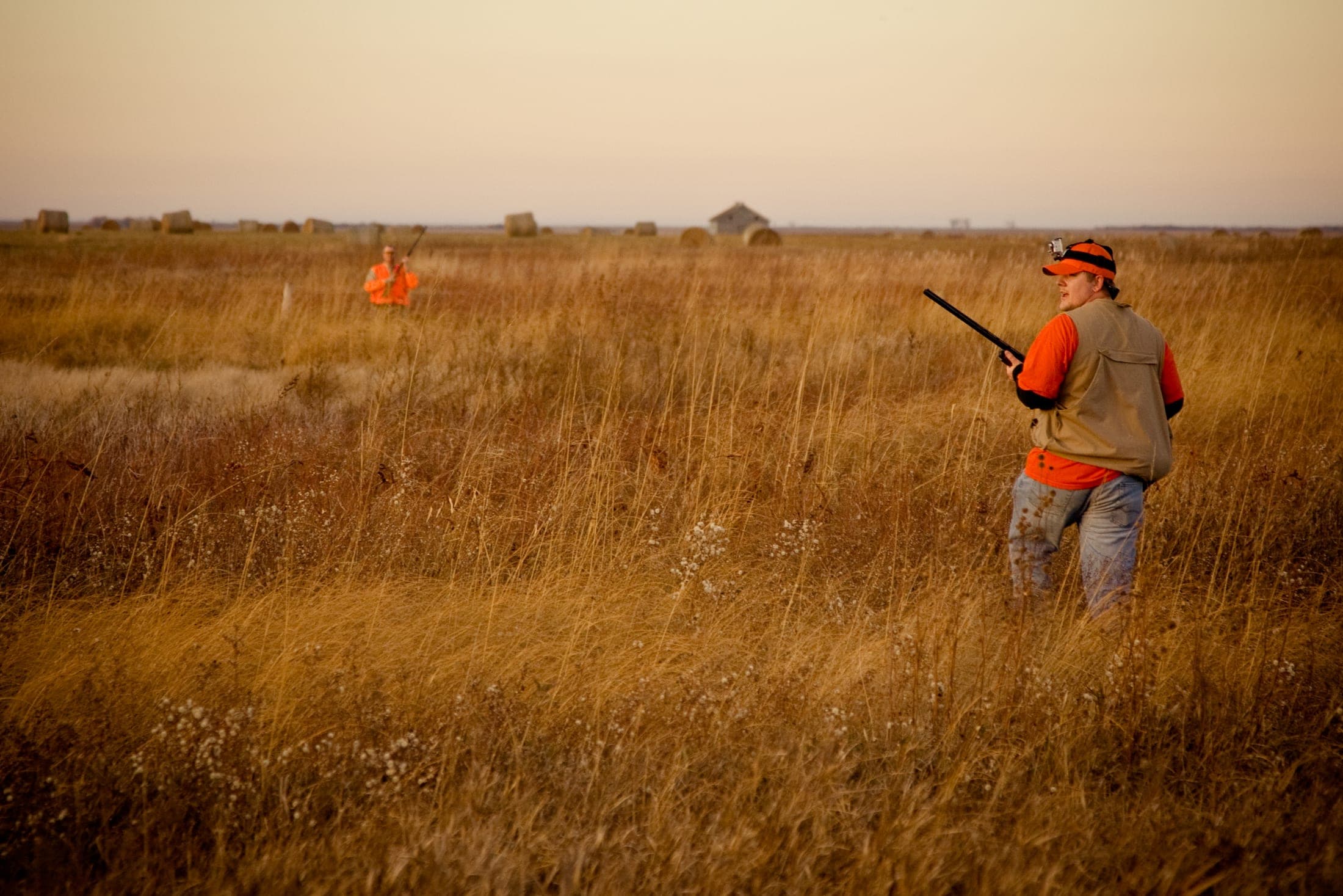 Faulkton South Dakota Pheasant Hunting | Faulkton, SD image 11