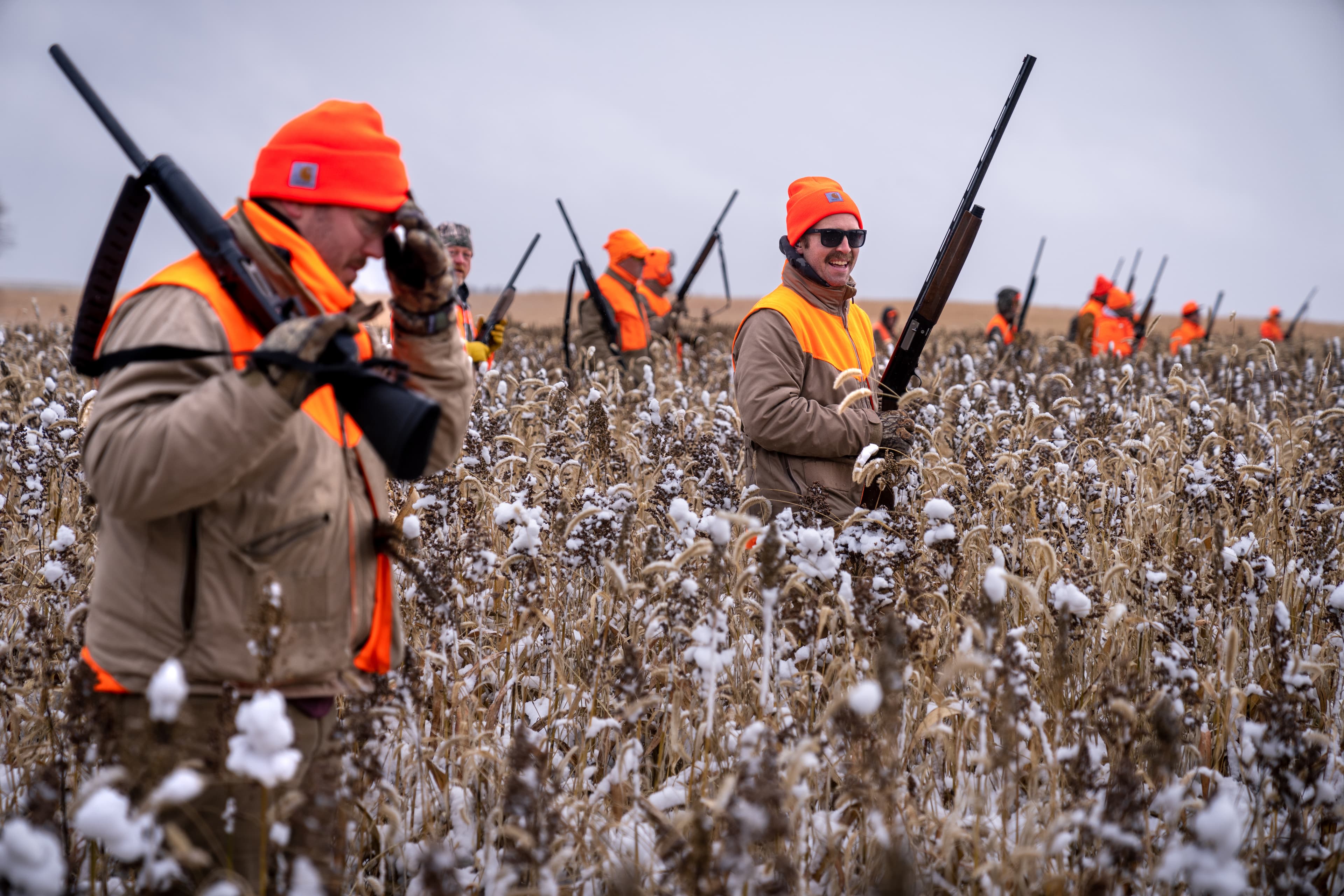 Close-up of a pheasant being carried after a successful hunt