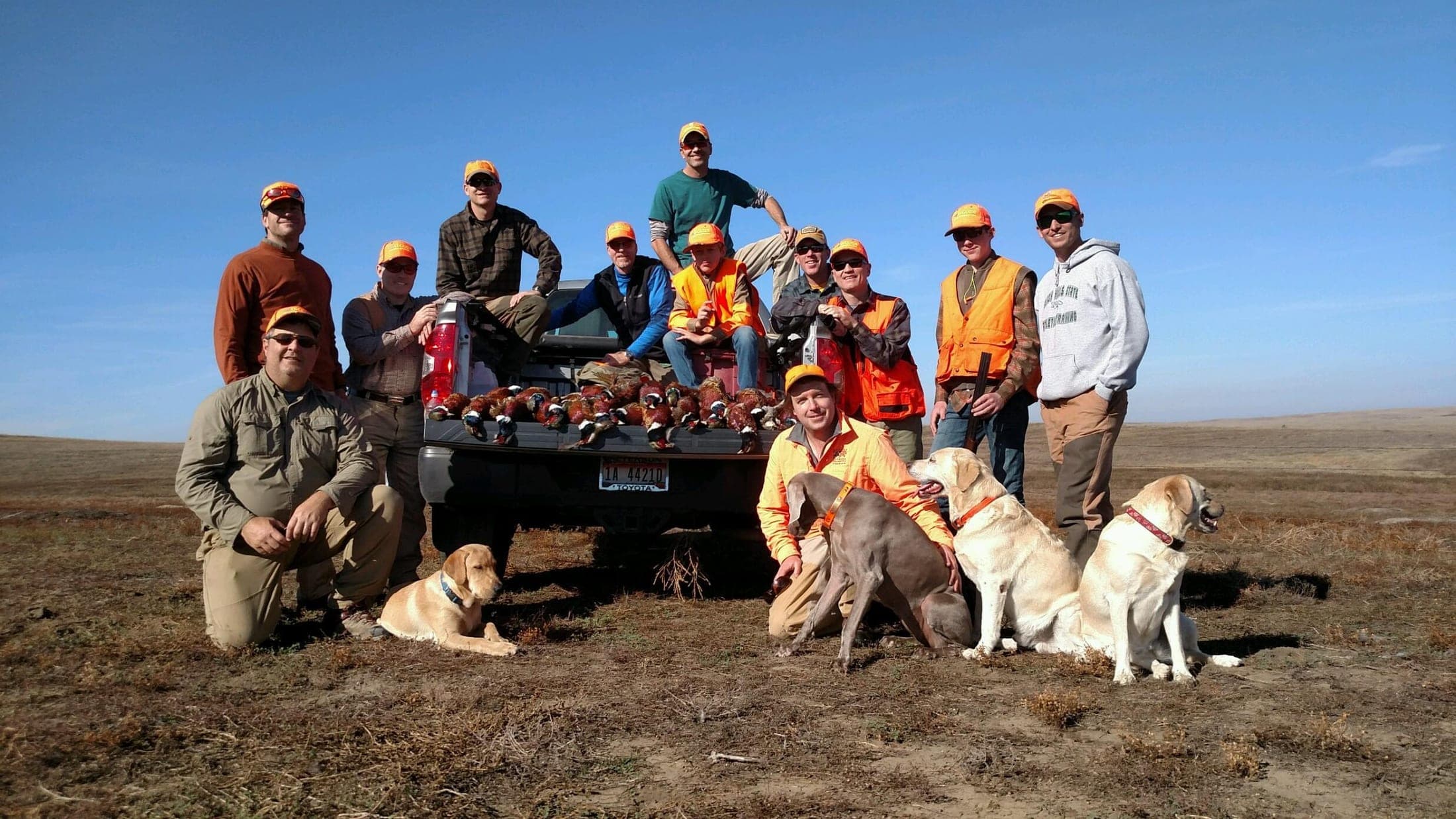 Meadow Creek Pheasant Camp image 14