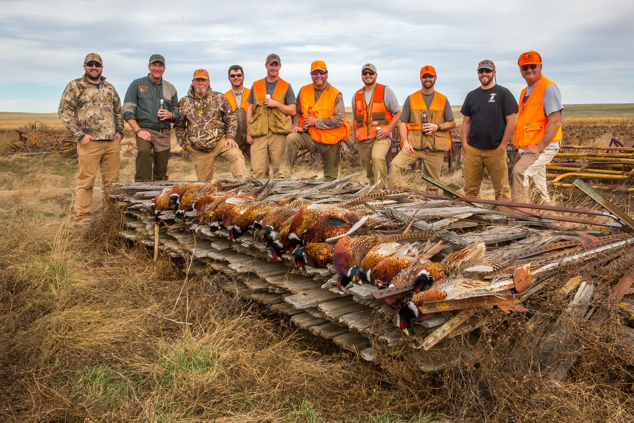 Meadow Creek Pheasant Camp image 15
