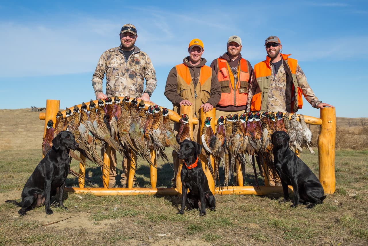 Meadow Creek Pheasant Camp image 17
