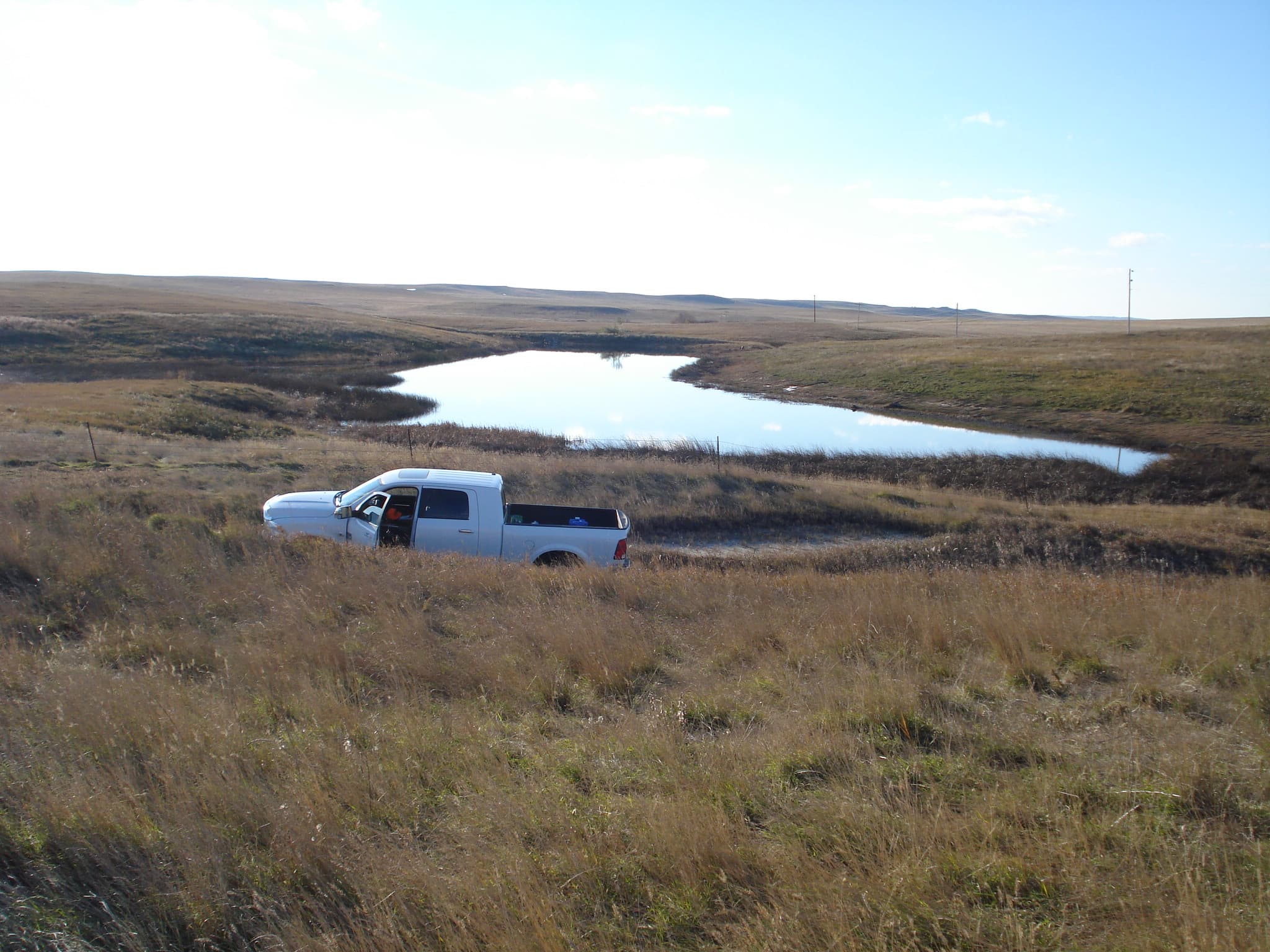 Meadow Creek Pheasant Camp image 5